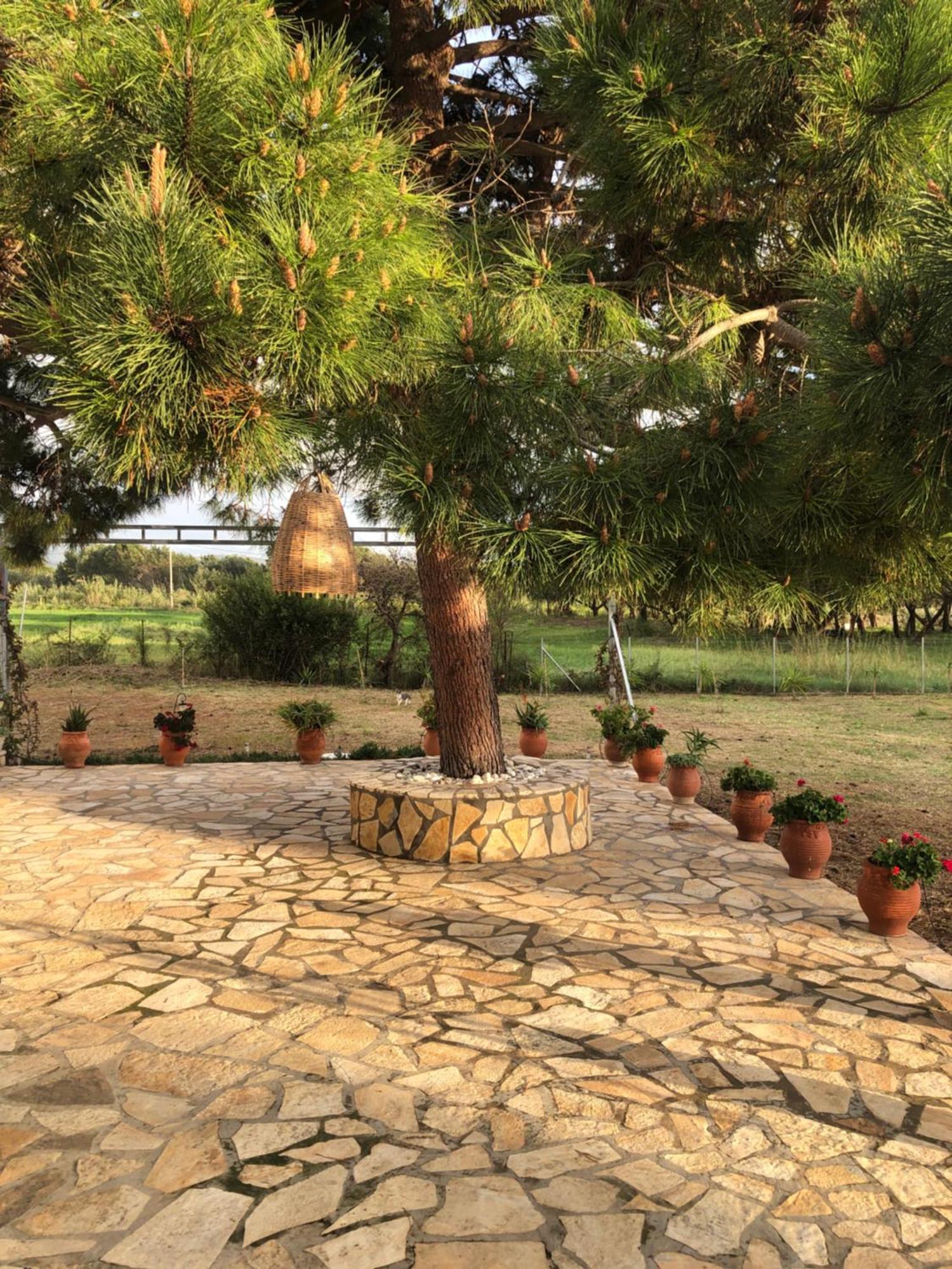 Seaside Retreat House Βίλα Κακόβατος Εξωτερικό φωτογραφία